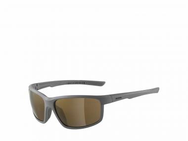 Alpina Defey Radbrille S3