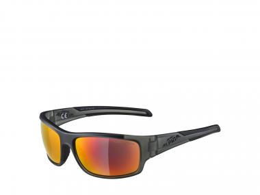 Alpina TESTIDO Radbrille